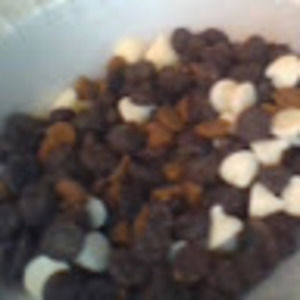 Meet your Posher, Rose